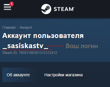 Пополнить баланс STEAM в России